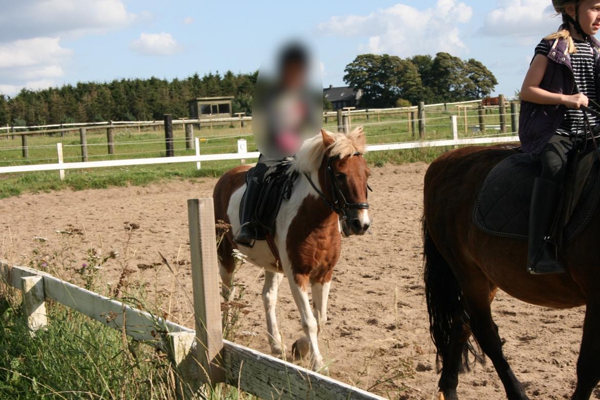 Anden særlig race - † Matros/Wingo † R.I.P billede 33