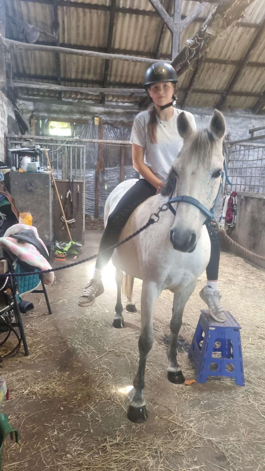 Anden særlig race Form's Daisy (2561) billede 16