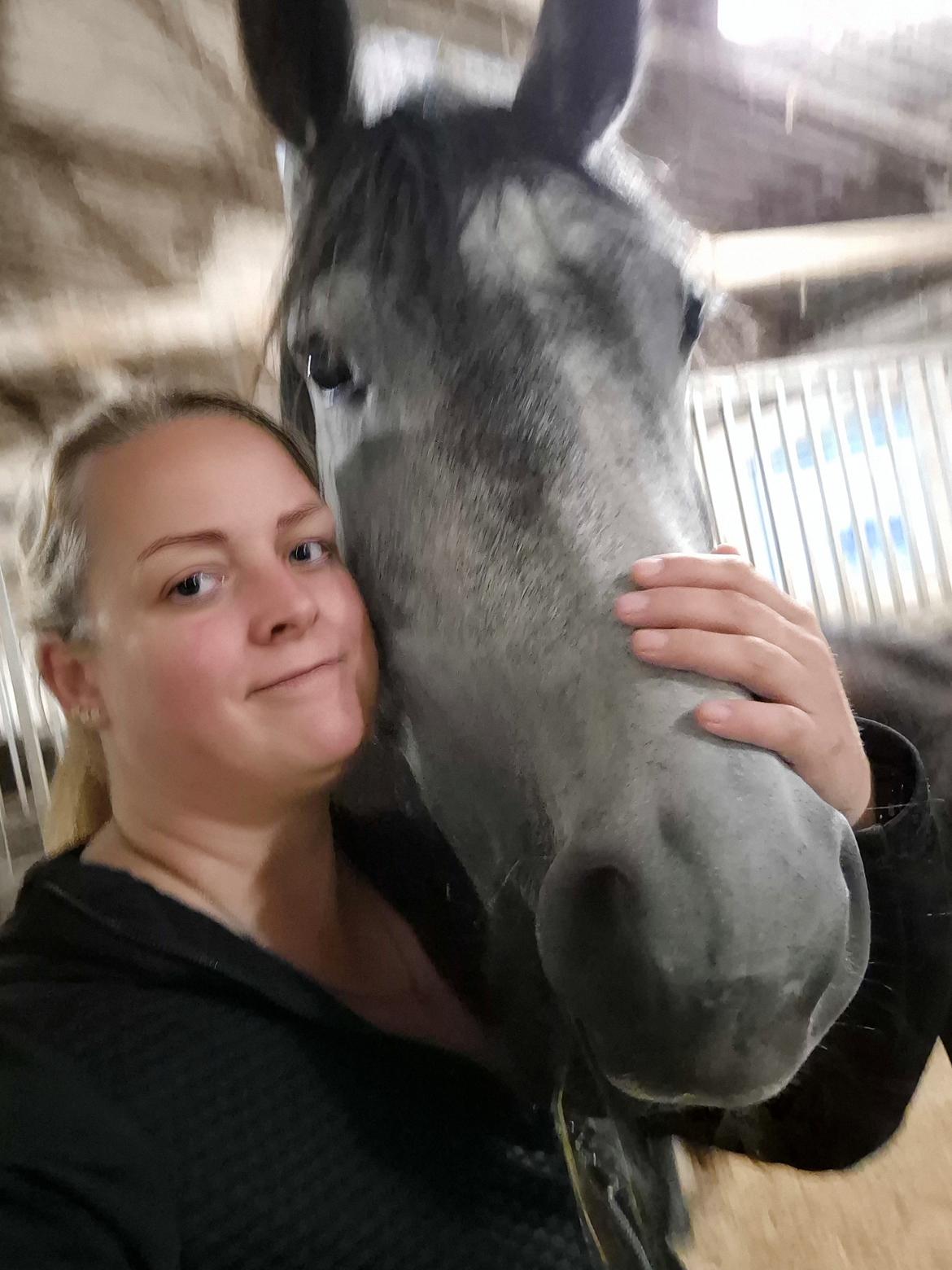 Oldenborg Horsebjerg Vetlanda billede 1