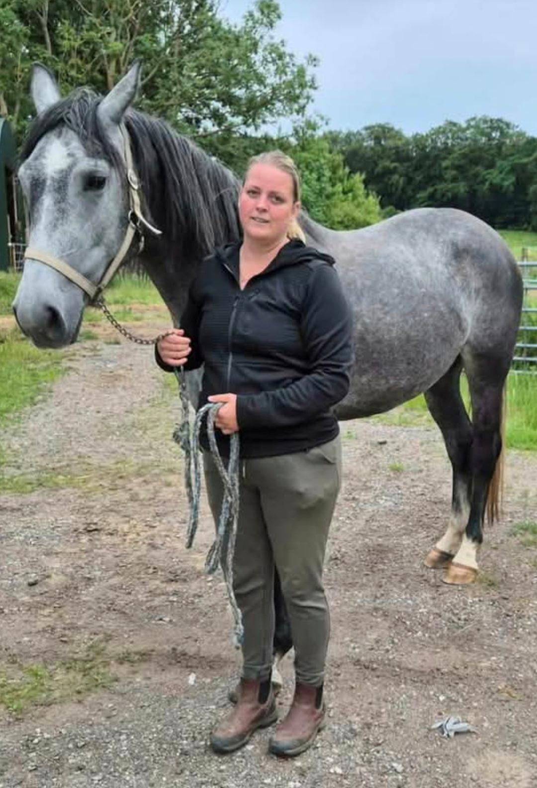 Oldenborg Horsebjerg Vetlanda billede 3