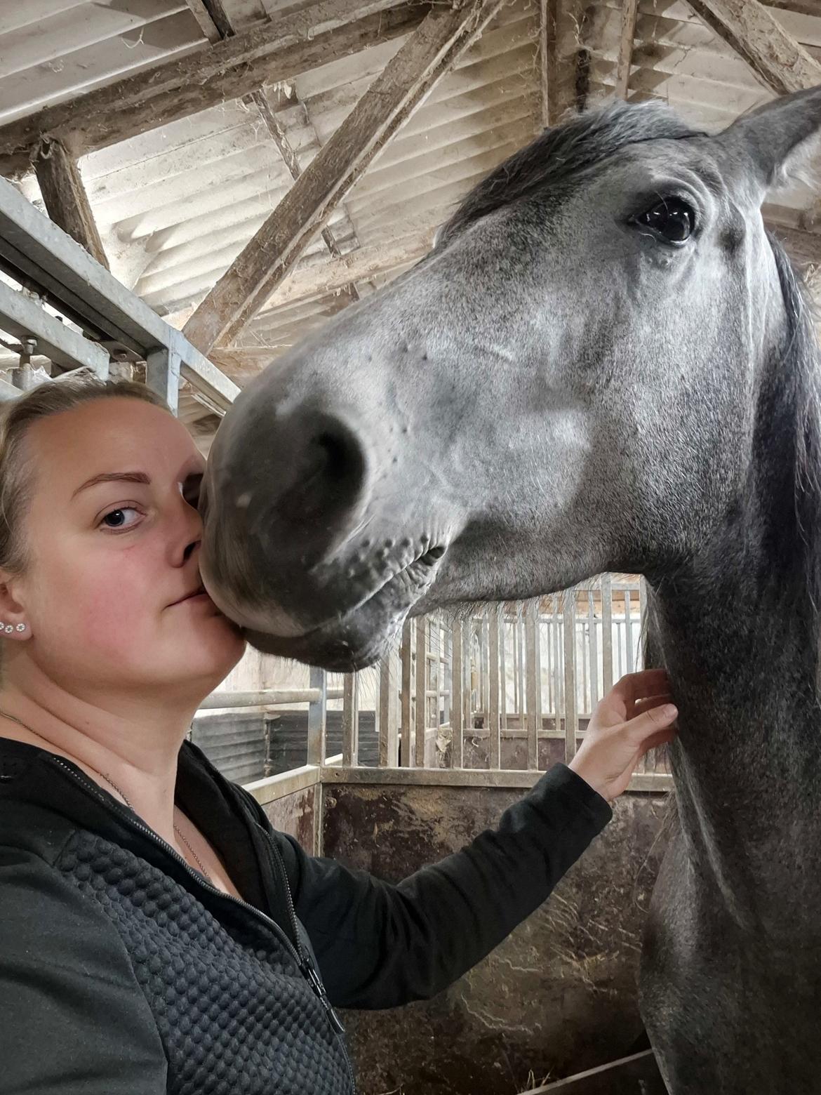 Oldenborg Horsebjerg Vetlanda billede 5