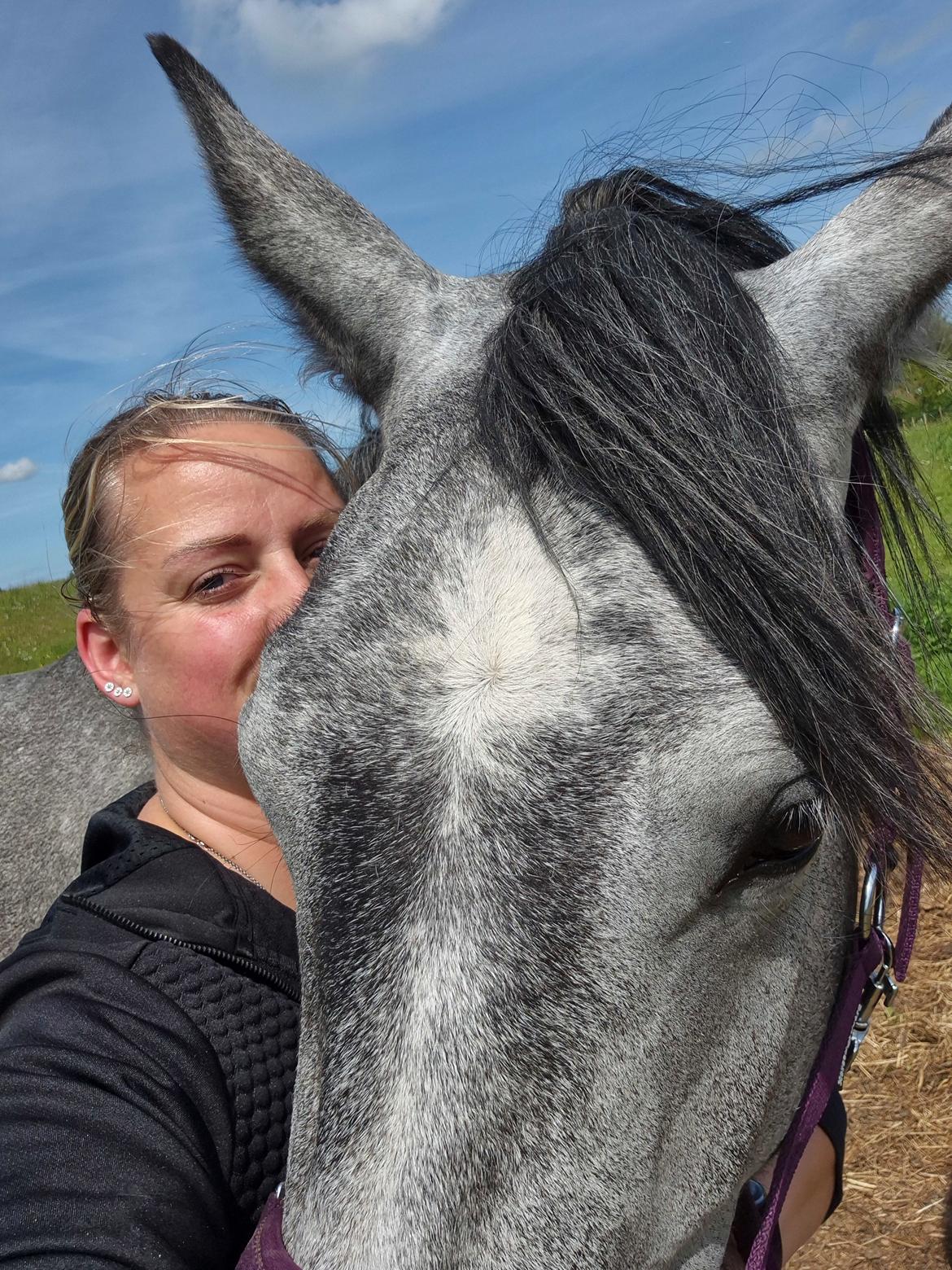 Oldenborg Horsebjerg Vetlanda billede 6