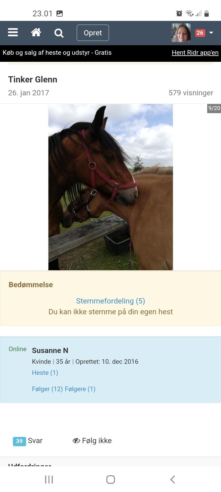 Tinker Kappelgaardens Glenn  billede 4