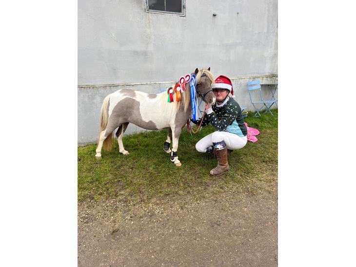 {{currentPhoto.altText}} billede {{currentPhoto.number}}