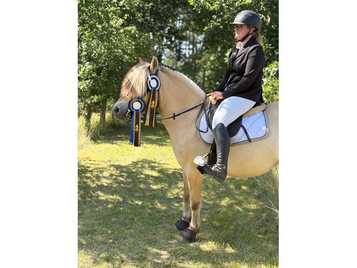 {{currentPhoto.altText}} billede {{currentPhoto.number}}