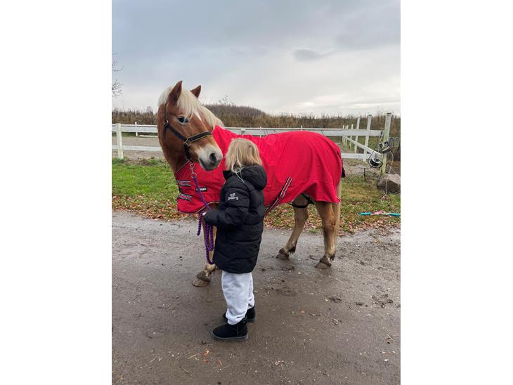 {{currentPhoto.altText}} billede {{currentPhoto.number}}