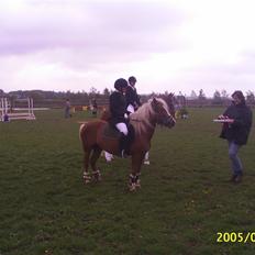 Anden særlig race Movie Star (Solgt.)