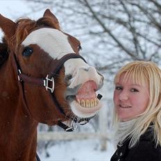 Hollandsk Sportspony  Destiny † R.I.P †