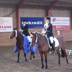 Anden særlig race Chelina