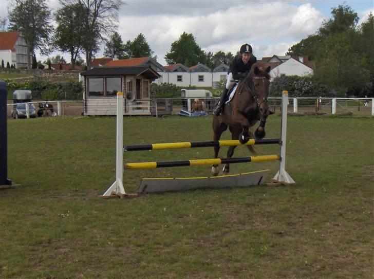 Anden særlig race orlando - mig og olde til stævne billede 10