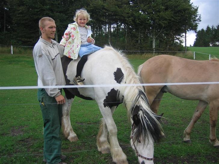 Irish Cob odyszeus (Snøvs) - Solgt - Snøvs med min niece billede 4