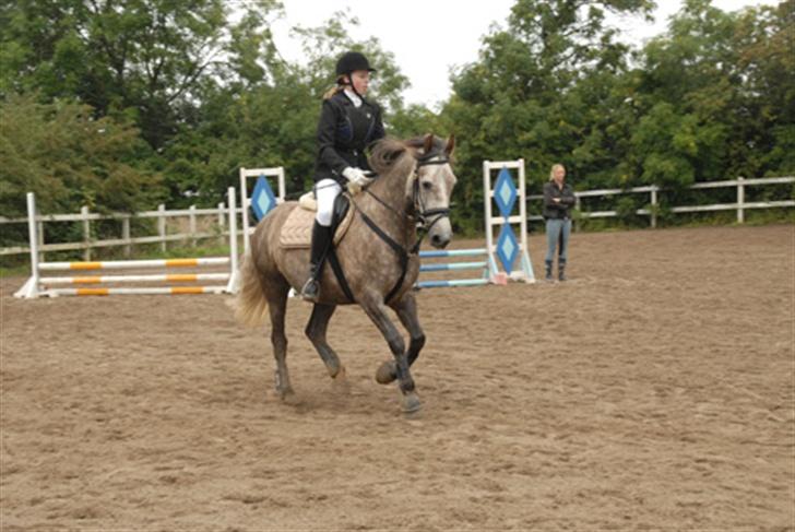 Anden særlig race Kilimanjaro - Spring stævne på gården 2006.  billede 3