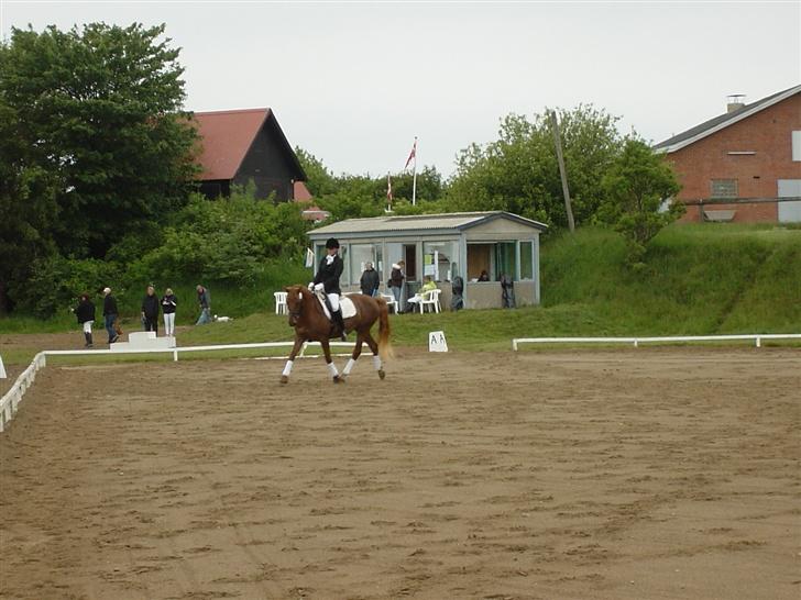 Anden særlig race Holmgårds Phoebe "solgt" - Phoebe og mig til stævne i struer rideklub d. 27. maj 2007 billede 12