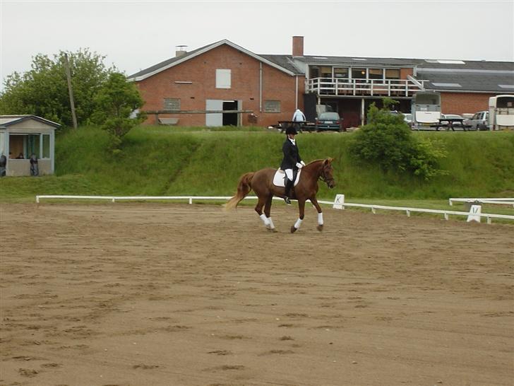 Anden særlig race Holmgårds Phoebe "solgt" - Phoebe og mig til stævne i struer rideklub d. 27. maj 2007 billede 13