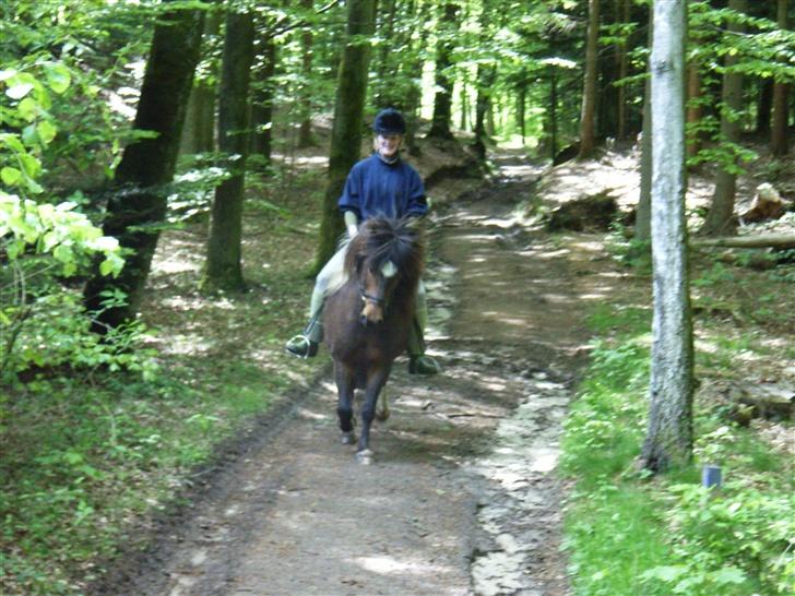 Islænder Stjarni - Jubii...fuld fart ned ad bakke! billede 2