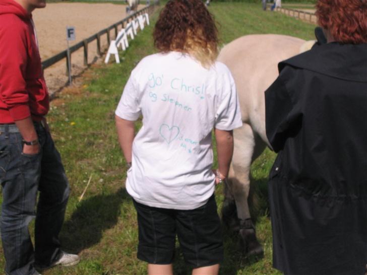 Fjordhest Sleipner  - Vores heppekor :D <3 Misze <3 billede 9