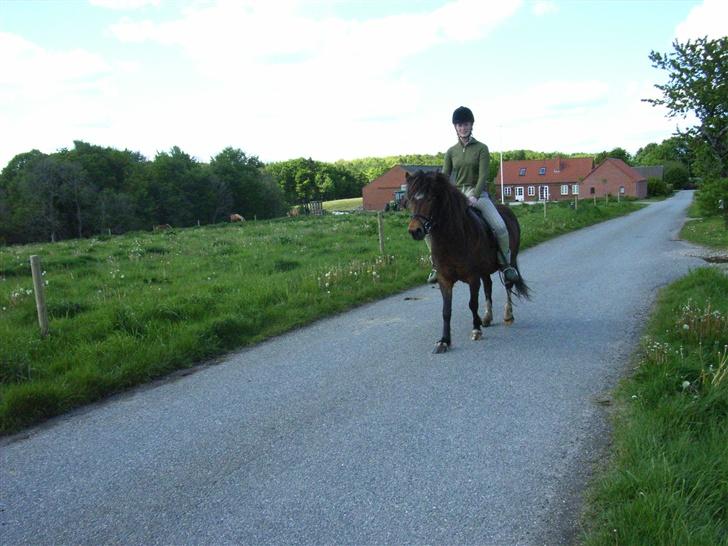 Islænder Stjarni - tusind tak fordi du kiggede forbi :) billede 11