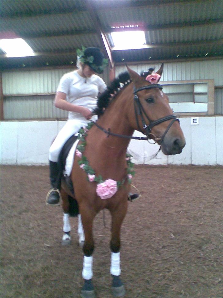 New Forest Enggaardens Frej billede 10