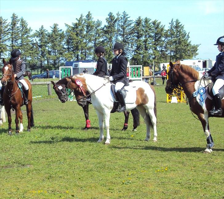 Pinto Zindy - SOLGT - Zindy og hendes nuværende ejer Sara. Præmie overrækkelse - 1. plads i LC billede 1