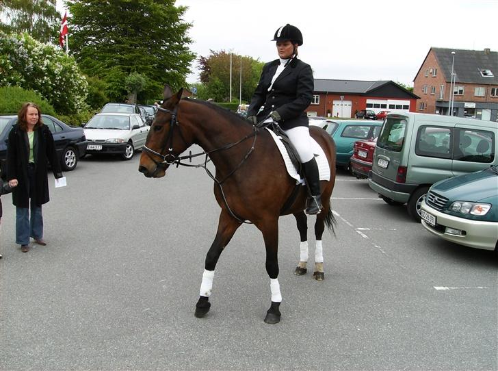 Traver Mille<3 solgt - Mille foran kirken til min konfi (: patricha rider. billede 9