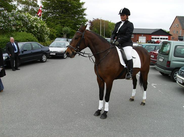 Traver Mille<3 solgt - se hun kan jo godt stå fint :D billede 10