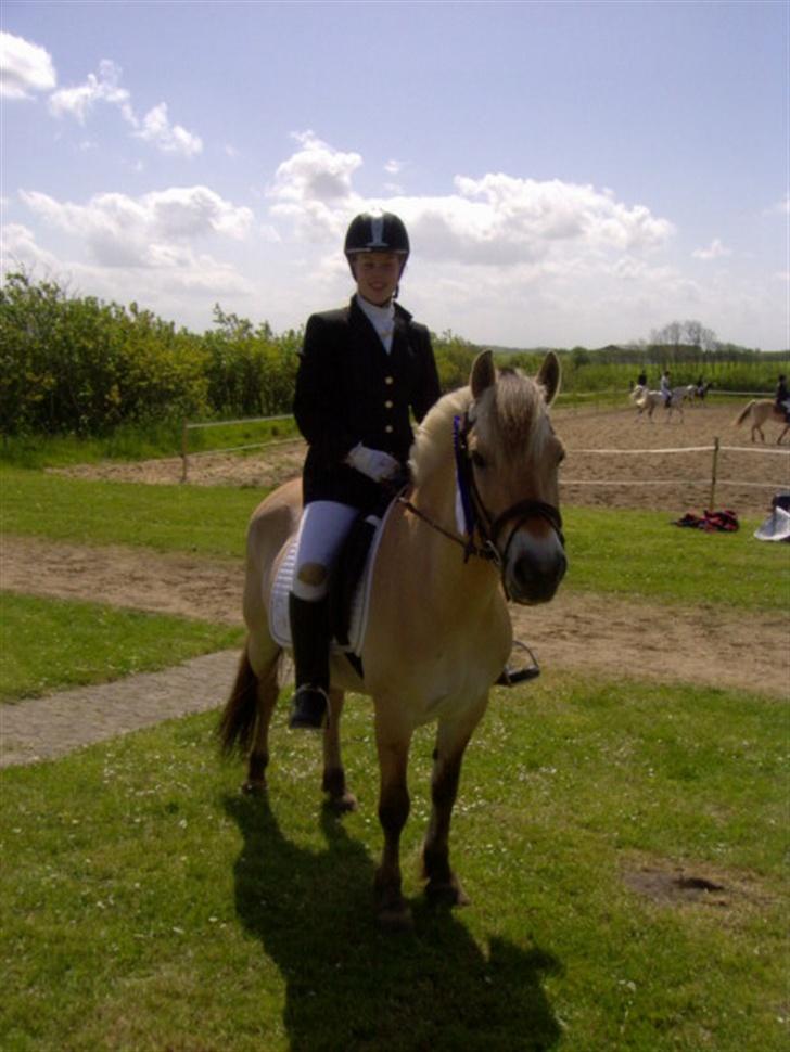 Fjordhest Majken - her har jeg fået en 2. plads i LX dressur i Ranum billede 17