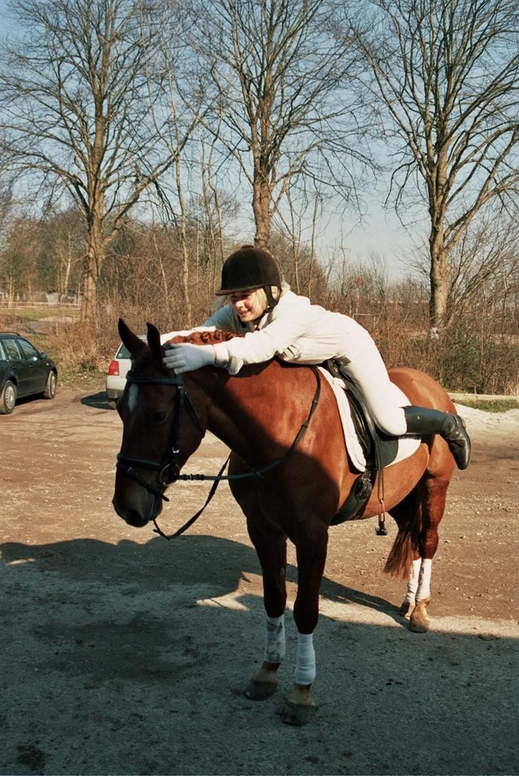 Anden særlig race Baloo - Stævne 2007 i PIH. billede 7