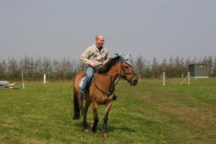 Anden særlig race °º• Frk Smilla •º°- SOLGT billede 6