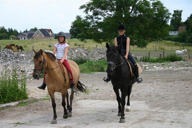 Anden særlig race °º• Frk Smilla •º°- SOLGT billede 7