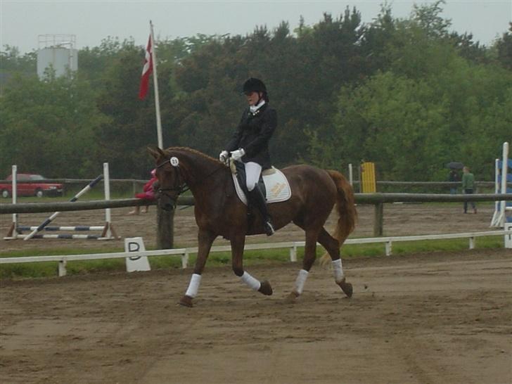 Anden særlig race Holmgårds Phoebe "solgt" - phoebe og mig til stævne i struer... det stod bare ned i stænger lige da vi skulle på banen... d. 28. maj 2007 billede 15