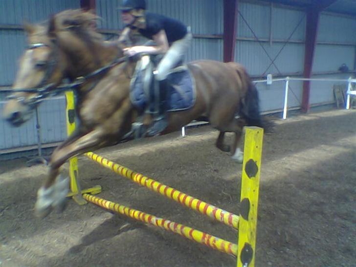 Frederiksborg Flicka - Flicka og min søster Susanne  der springer. Til træning ved kloeverpris.  Jeg elsker det billede!<3 billede 10