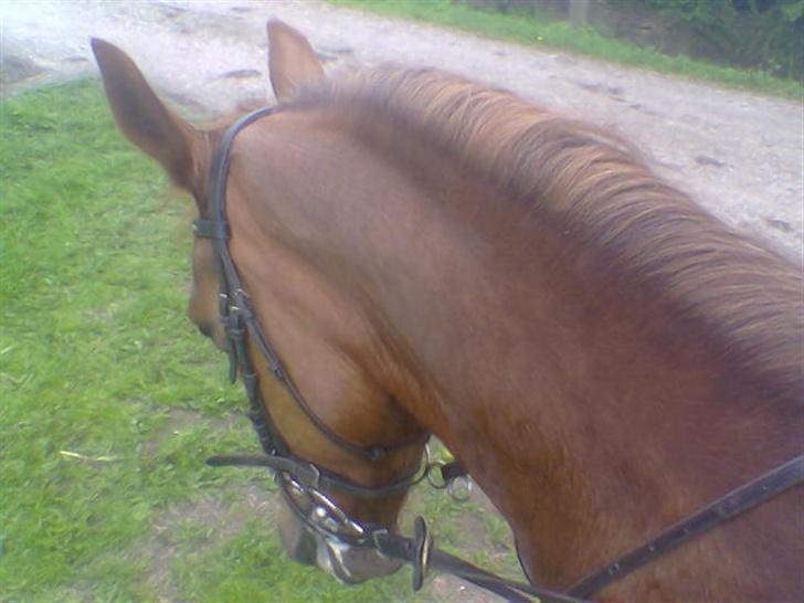 Frederiksborg Flicka - Flicka. billede 11