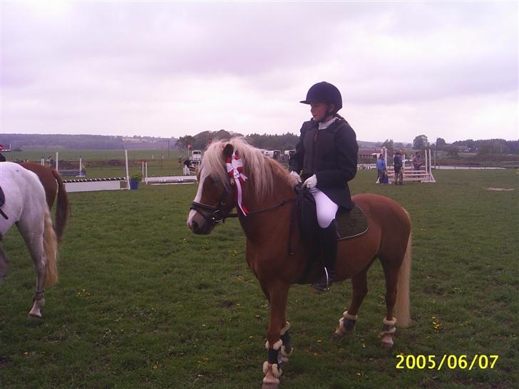 Anden særlig race Movie Star (Solgt.) billede 6