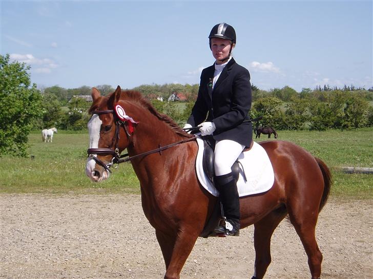 Anden særlig race Sahara - Lige efter vi havde vundet vores fjerde 1. plads i spring i Ranum 2007 billede 8