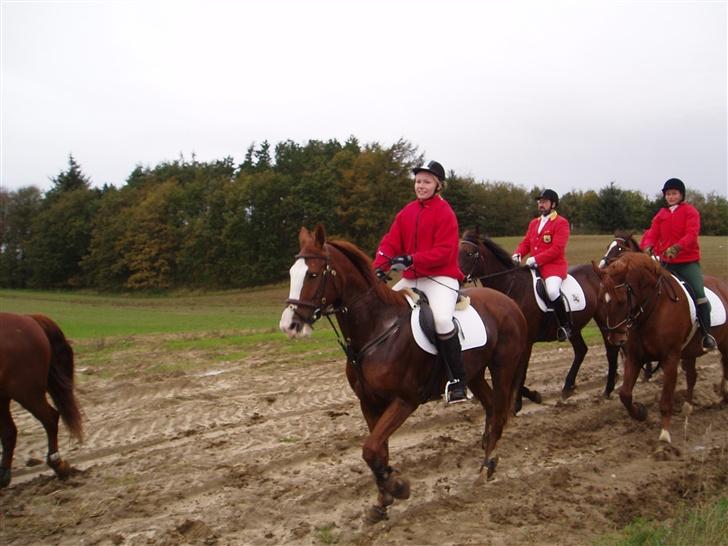 Anden særlig race Sahara - Til jagt på Hesselgården arrangeret af Farsø Rideklub oktober 2006 . billede 10