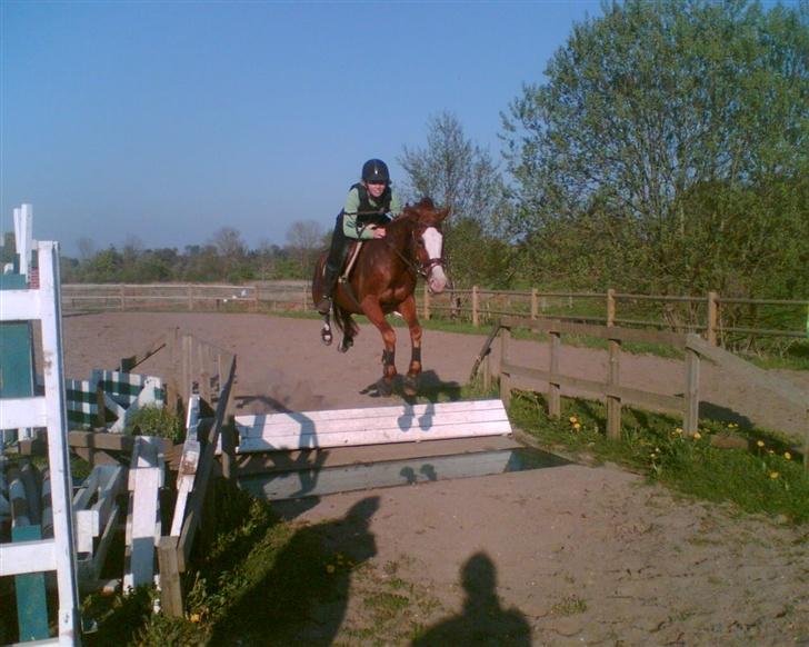 Anden særlig race Sahara - Første gang vi sprang vandgrav . billede 11