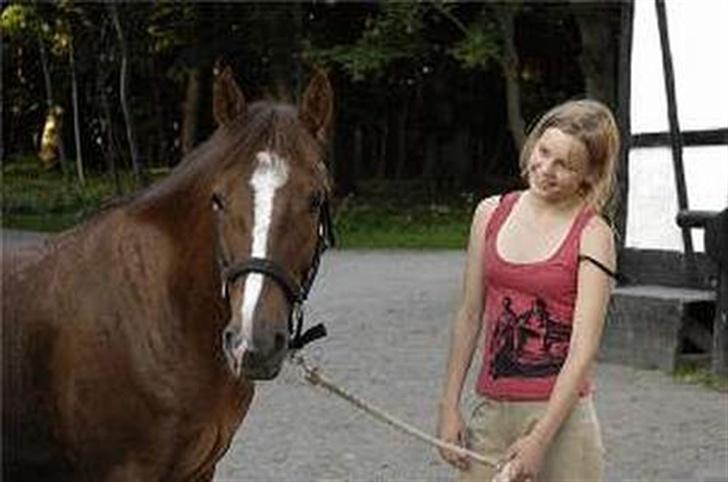 New Forest Copyright - Taget af fransk fotograf: mig og Copy <3 billede 8