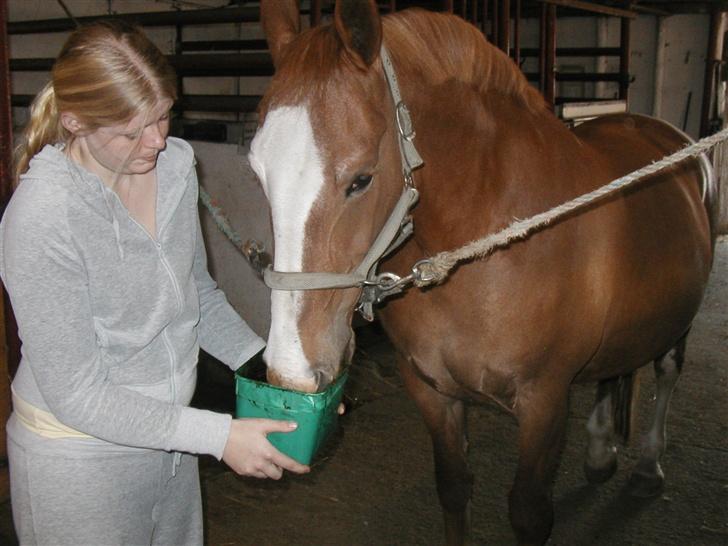 Frederiksborg Lise - DØD d. 27 april 07 - MUMS lakridsslikkesten er bare det bedste.. Lise blev lidt forkælet de sidste timer.... billede 13