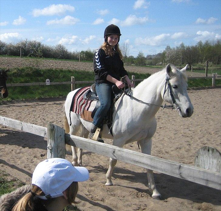 Connemara Nitouche  - Mig og western Nitouche :) <3 billede 5