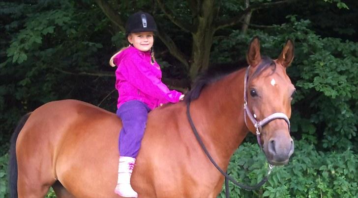 Arabisk fuldblod (OX) A/G'S FIRST FLAME OX 3884 - august 2010 billede 2