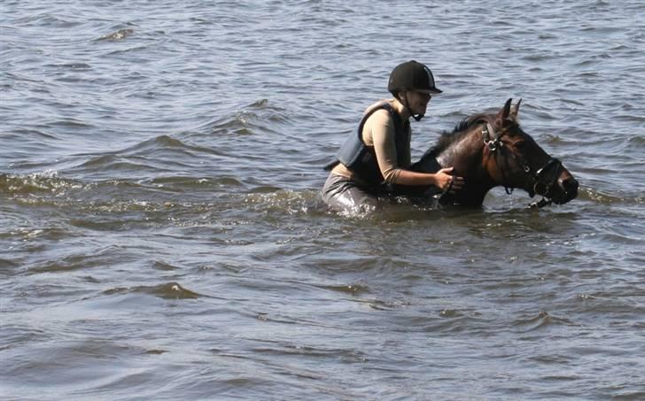 Anden særlig race Freja <3 ¤lækker¤! - bade bade ;) foto: Mor billede 3