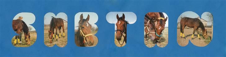 Traver Satan/Shetan - Et navneskilt jeg lavede til ham, da han var 1 1/2 år billede 8