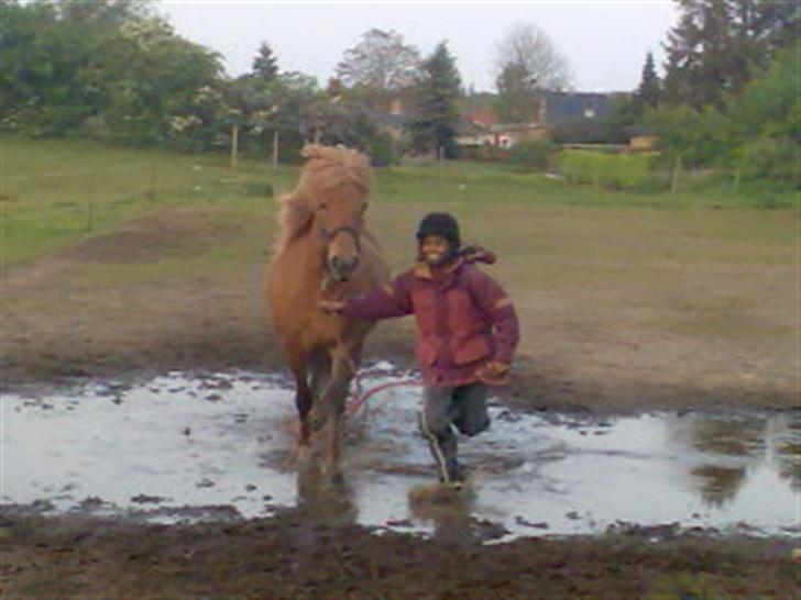 Islænder Silja fra Godthåb[SOLGT] - biled 20 vi tager lige en tur gennem vandet ;D billede 20