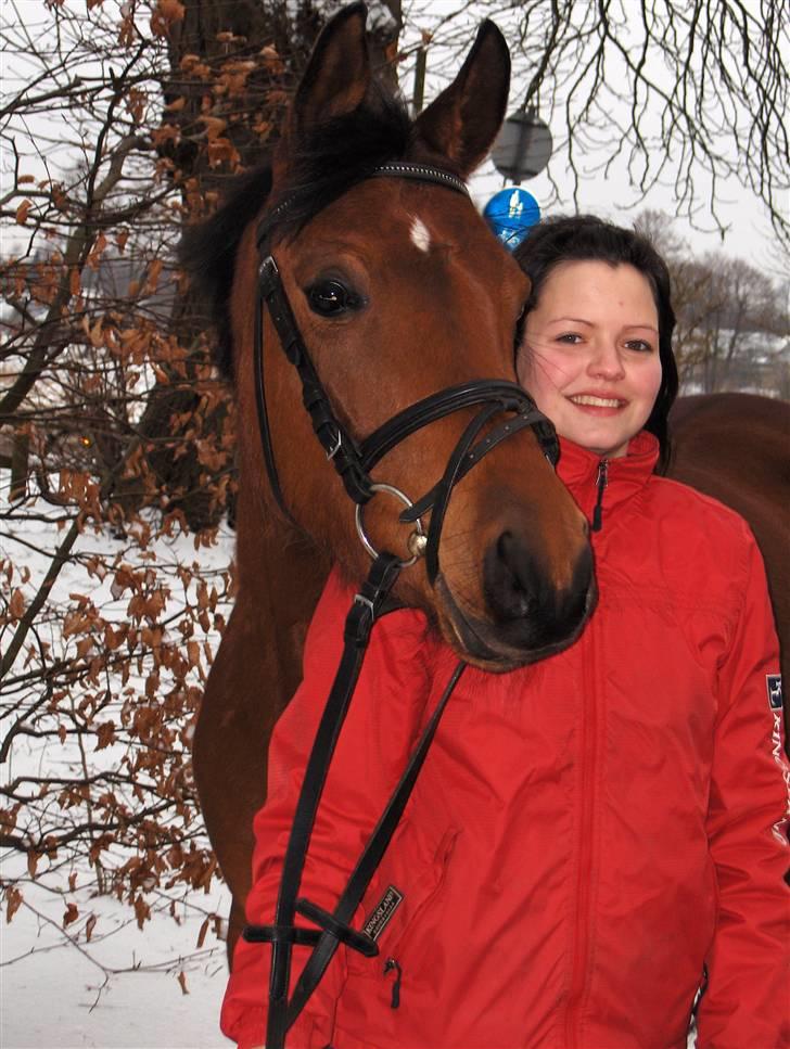 Arabisk fuldblod (OX) A/G'S FIRST FLAME OX 3884 - d. 23/2-2007 billede 8