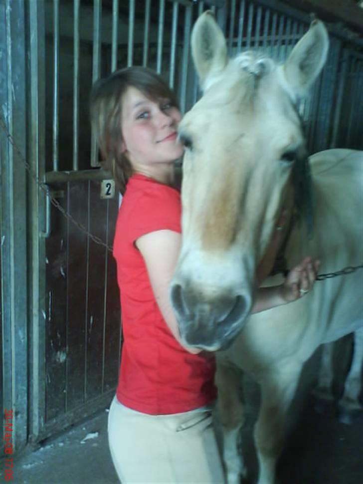 Fjordhest Laban <3  - Sofie g Laban(sofie rider laban et par gange i ugen, og det er han glad for) (: billede 20