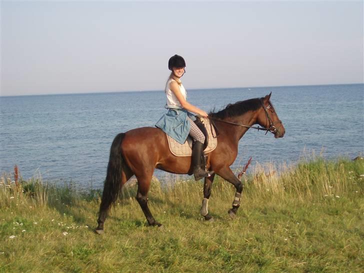 DSP Nikita billede 9