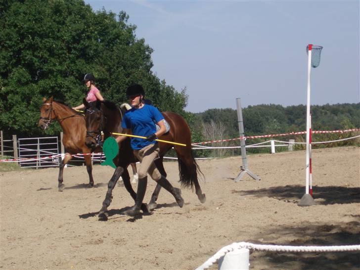 DSP Nikita billede 12