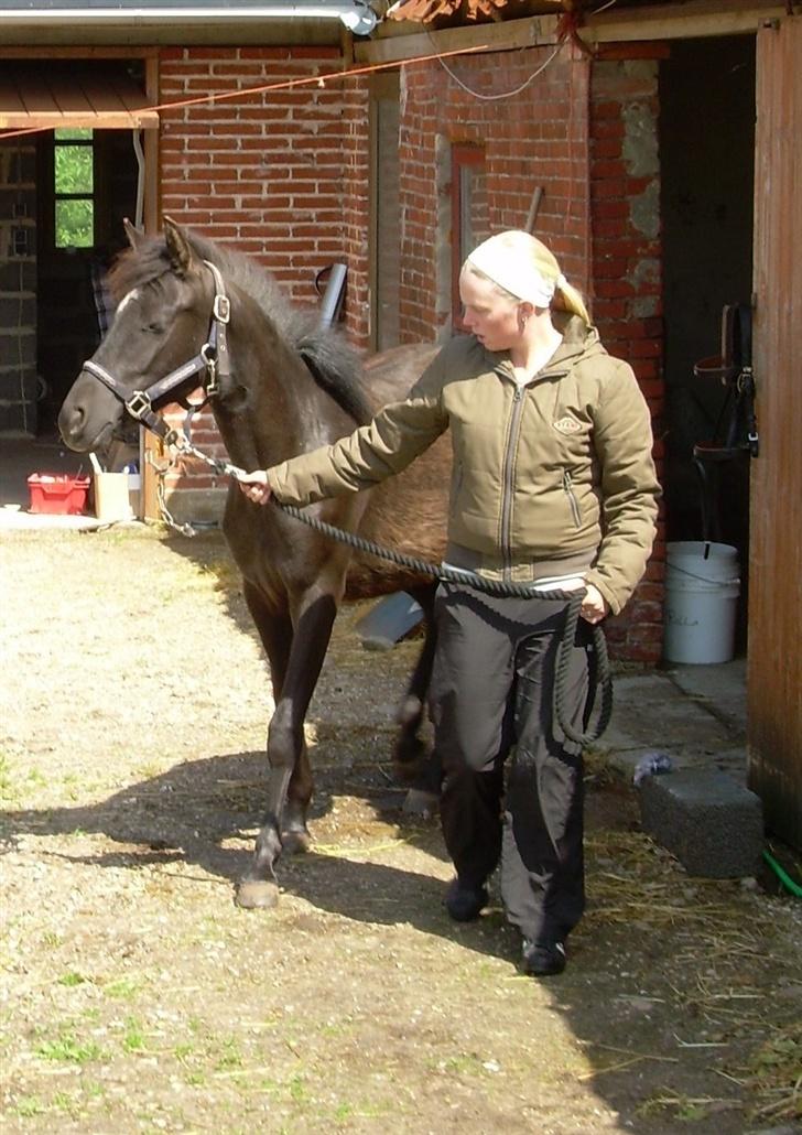 Anden særlig race Liberty/ HVIL I FRED <3 - Weeeeeehuuuu, nu skal jeg ud og æde . . . :D billede 4