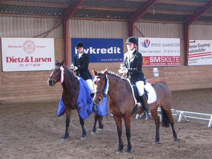 Anden særlig race Chelina - vi blev nr 2 til klubmesterskab og vandt championatet. billede 2