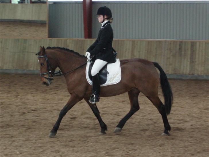 Anden særlig race Chelina - os i NOR!! billede 3